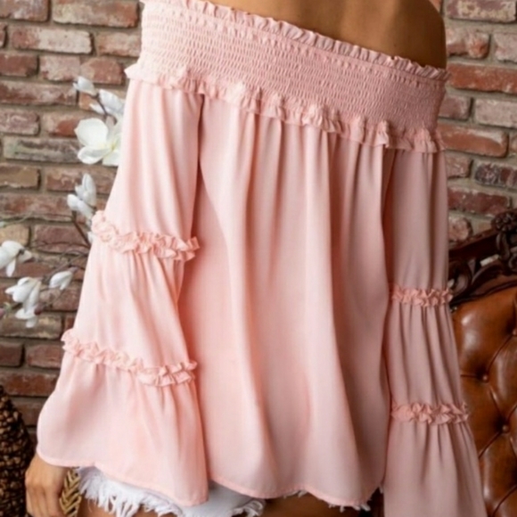 Ruffled Bell Sleeved Blush Top - Picture 4 of 5